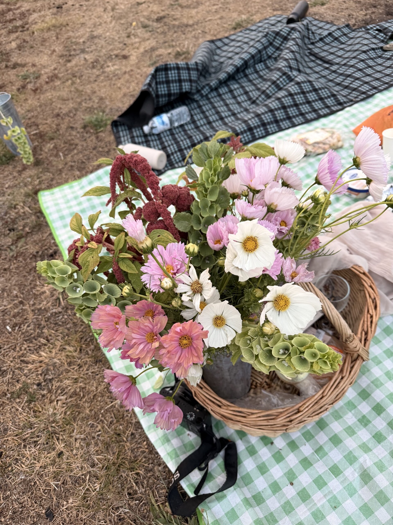 Visiting Bloom Into You Flower Farm